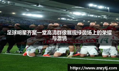 足球明星齐聚一堂高清群像展现绿茵场上的荣耀与激情